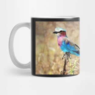 Lilac Breasted Roller, Serengeti, Tanzania Mug